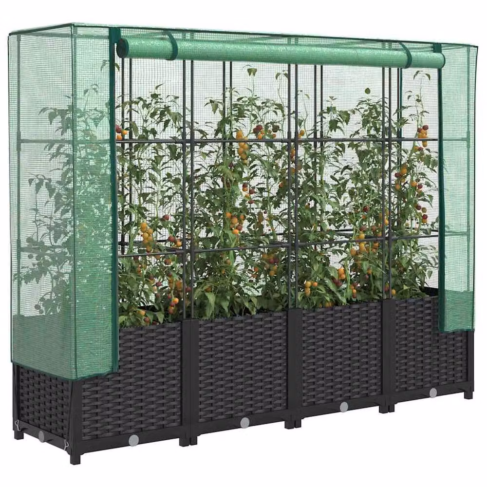 Berkfield Home Raised Bed with Greenhouse Cover in Black Rattan Look, W/D/H: 160 x 40 x 138 cm – 2
