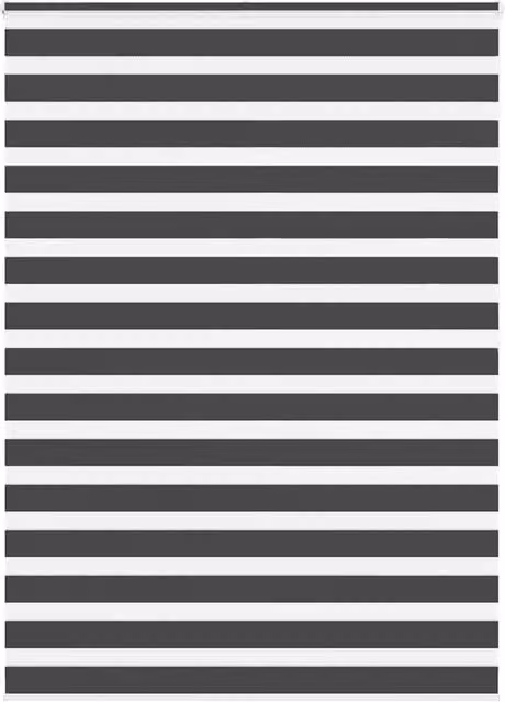 Berkfield Home Zebra Day and Night Blind in Black Polyester, W: 155 cm, H: 200 cm