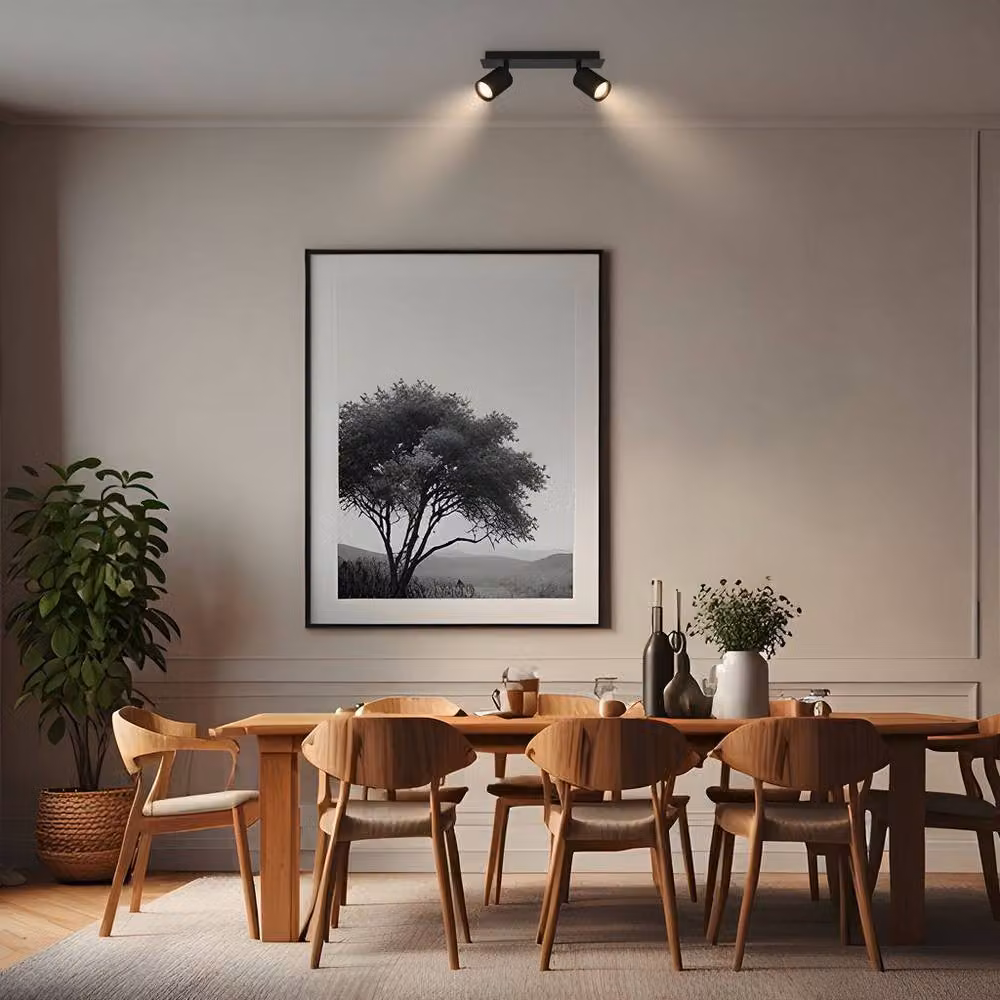 Briloner Black Adjustable 2-Light GU10 Ceiling Spotlight – 6