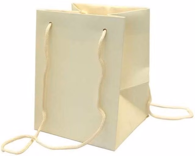 KDMD Cream Paper Hand Tie Bags for Birthday Parties, 10 Pack