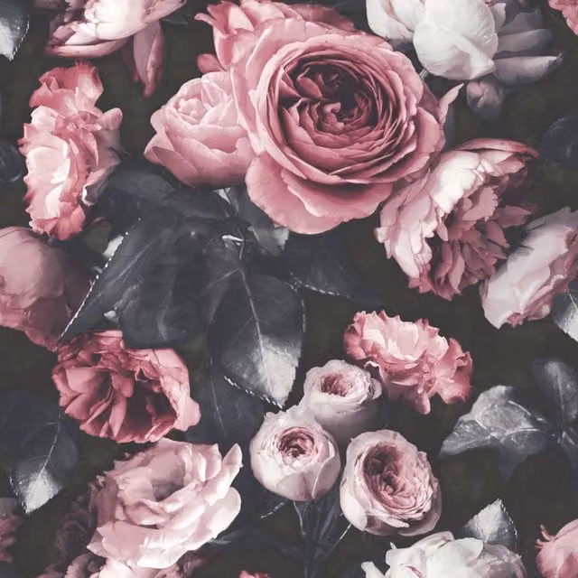 Newfiori Vintage Dark Floral Peony Textured Botanical Wallpaper in Pink