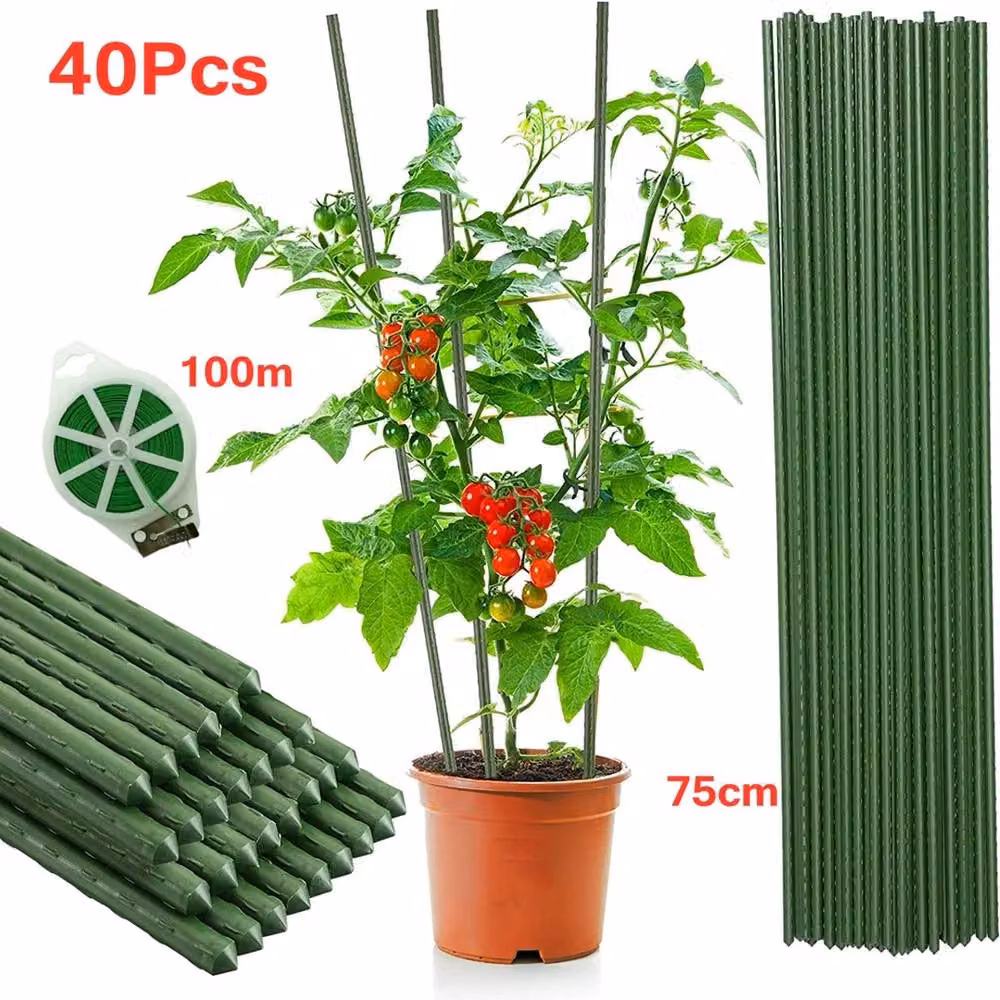 NESTLUNE Green Plastic Coated Metal Plant Support Stakes, 40 Pack, H 100 cm x W 15 cm – 2
