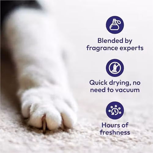 1001 Carpet Fresh Pet Odour Thai Orchid and Passionfruit 300ml – 2