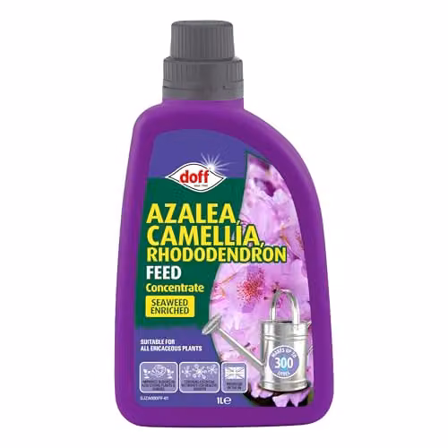 Doff Azalea, Camellia and Rhododendron Liquid Plant Feed Concentrate, 1 l