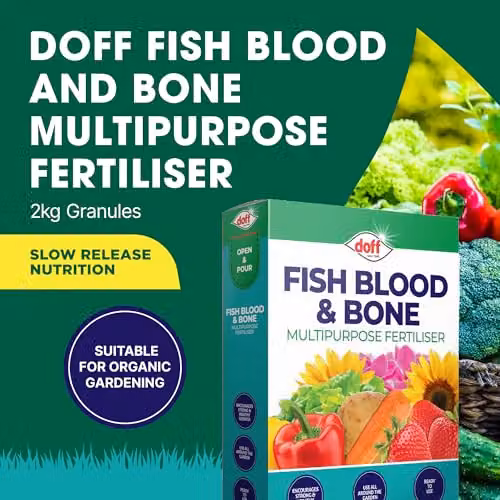 Doff Organic Fish, Blood and Bone Fertiliser, 2 kg, Blue – 2