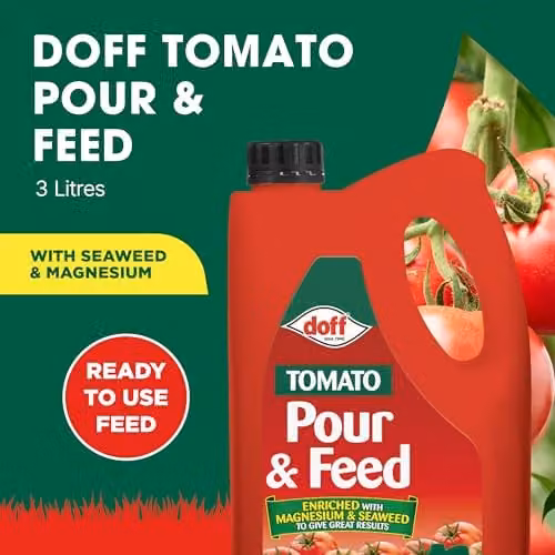 Doff Tomato Pour and Feed Liquid Plant Tonic, 3 l – 2