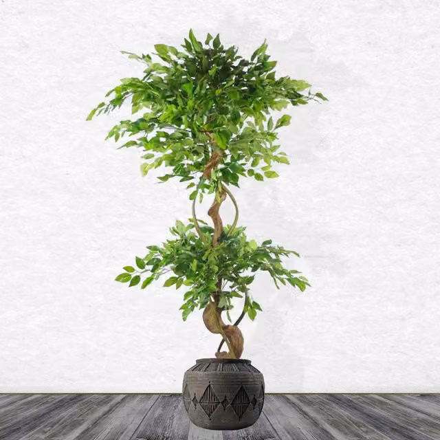 Gliese Diamond Large Composite Geometric Planter in Anthracite Grey