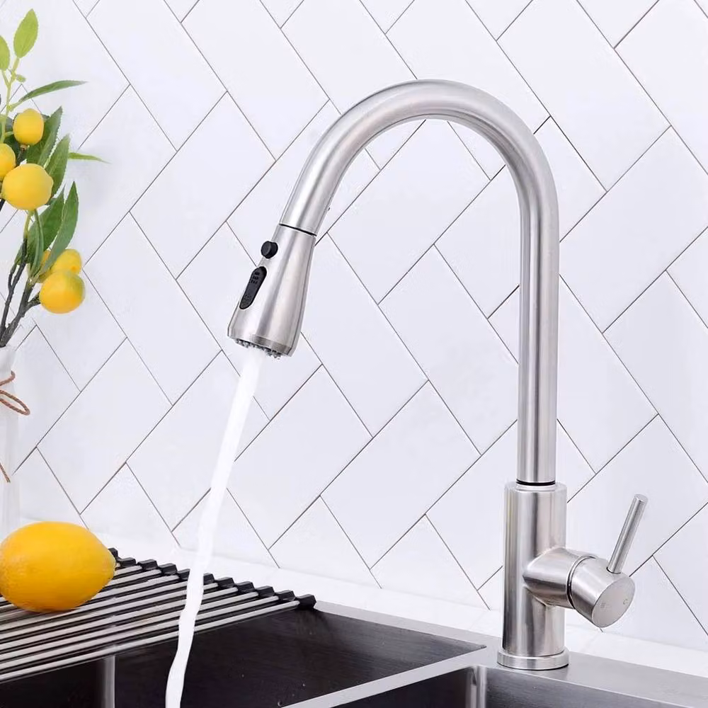 PAWNORA 360 Kitchen Sink Tap in Silver with Pull Out Spray Mixer and Single Lever Control – 5