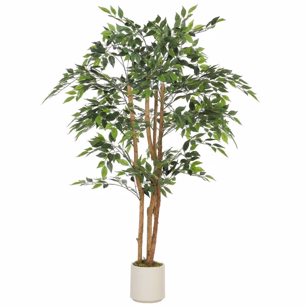 Wyld Haus Faluta 150cm Artificial Ficus Tree with Solid Wood Trunk in a White Pot, Green – 2