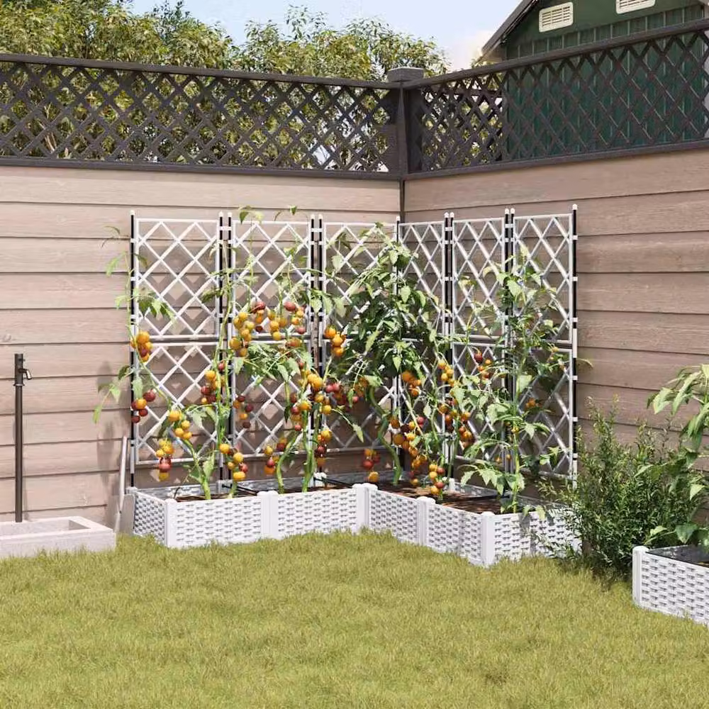 Berkfield Home Garden Planter with Trellis, 5 Piece Set, White, W/D/H: 120 x 120 x 125.5 cm – 3