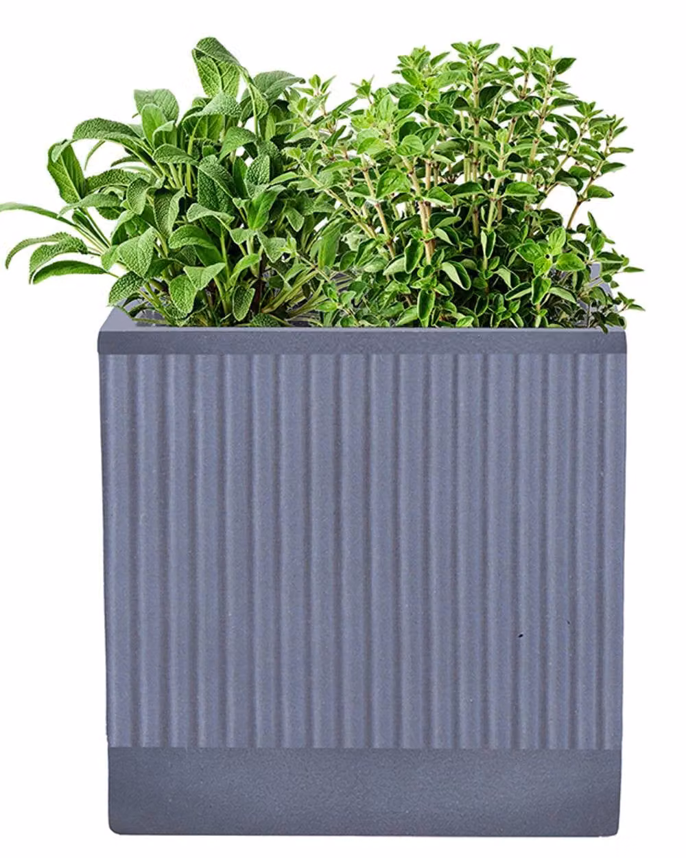 Dibor Small Slate Grey Ribbed Fibre Clay Indoor Outdoor Garden Plant Pot, H 25 cm x W 25 cm – 2