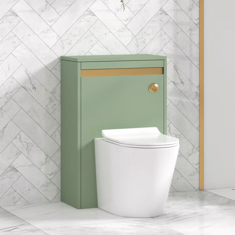 Royal Bathrooms Orion Wall Mounted Mint Sage WC Unit with Cesar Rimless Toilet Pan, Slim Seat and Cistern, Brushed Brass Trim, Width: 54 cm