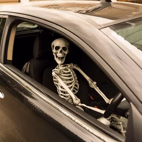 Shatchi Life Size Poseable Human Skeleton Halloween Decoration, White, Height: 165 cm – 4