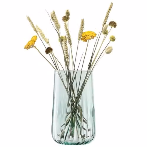 LSA International Mia Recycled Glass Vase/Lantern, Transparent, Height: 25.5 cm