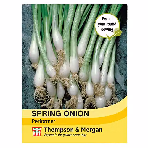 Thompson and Morgan Spring Onion Performer Bunching Onion Seeds, 250 Seeds