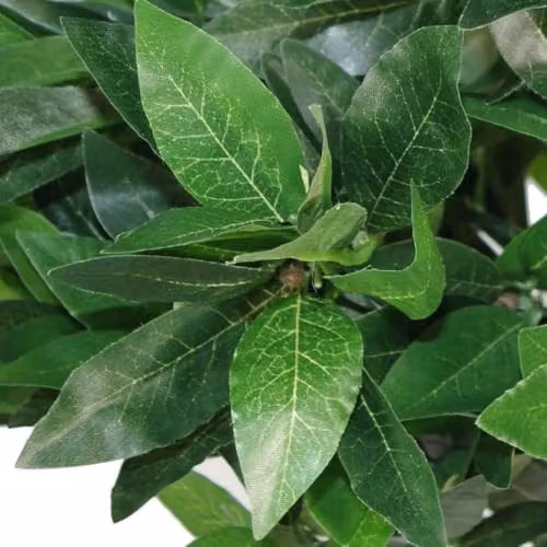 Leaf Pair of Extra Large Artificial Topiary Bay Trees, Green Pyramid Cones, Height: 120 cm – 2