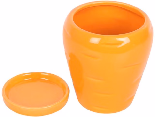 KDMK Orange Ceramic Carrot-Shaped Tabletop Planter with Organic Parsley Seed Balls