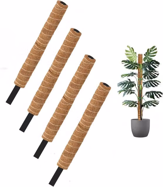 Ambassador Coco Fibre Moss Pole Climbing Plant Support Cane, Brown, Height: 60 cm