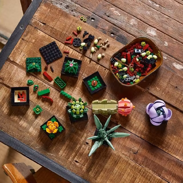 LEGO Icons Botanicals Succulent Potted Plant Building Set, Green and Multicolour
