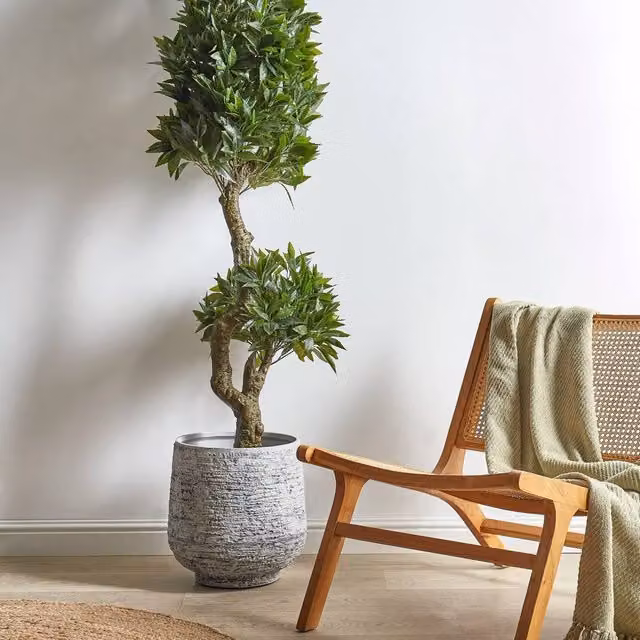 Wyld and Coco Laurel Artificial Potted Plant, Green in Black Pot, Height: 160 cm