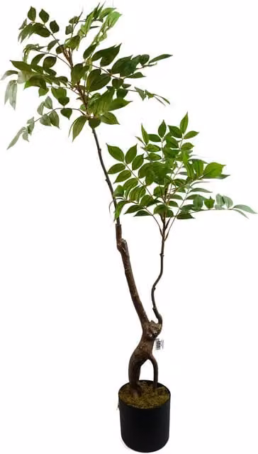 Leaf Design UK Artificial Toona Sinensis Evergreen Tabletop Tree in Green