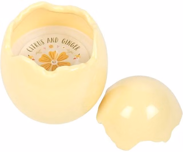 Something Different Citrus & Ginger Egg Shaped Scented Candle in Yellow