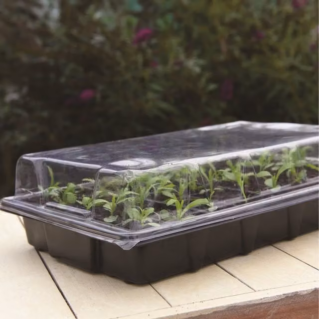 Garden Grow Triple Pack Plug and Seed Growing Trays in Black and Transparent Plastic