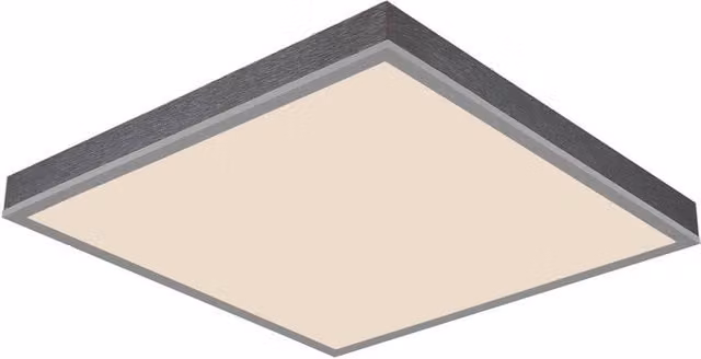 Netlighting Doro LED Ceiling Light in Silver, Dimmable with Remote Control and Timer, Diameter: 45 cm