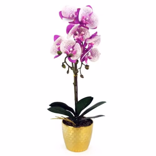 Leaf Design UK 50cm Phalaenopsis Artificial Orchid in a Pink Gold Pot with Purple and White Flowers – 1