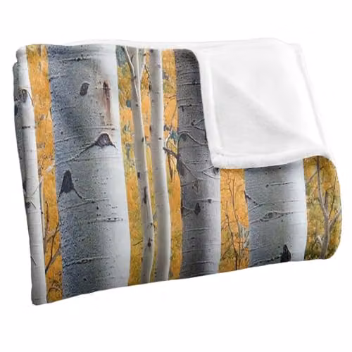 JQ Licensing James Piazza Birch Trees Silky Touch Super Soft Fleece Throw Blanket, Multicolour, W: 91 cm, D: 147 cm – 2