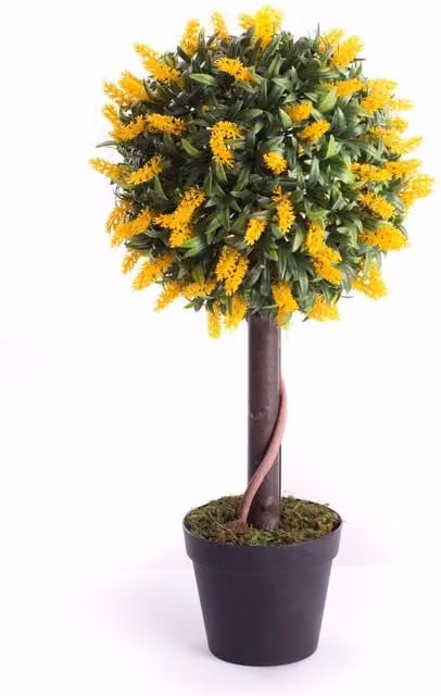 Best Artificial Yellow Lavender Ball Tree, Height: 60 cm