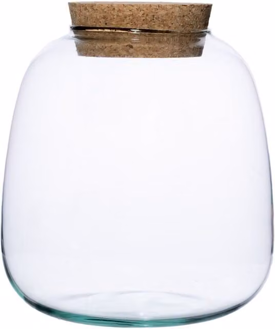 Ivyline Bowl Shape Medium Terrarium DIY Kit, Clear Glass Planter, H: 20 cm, W: 19 cm, D: 19 cm