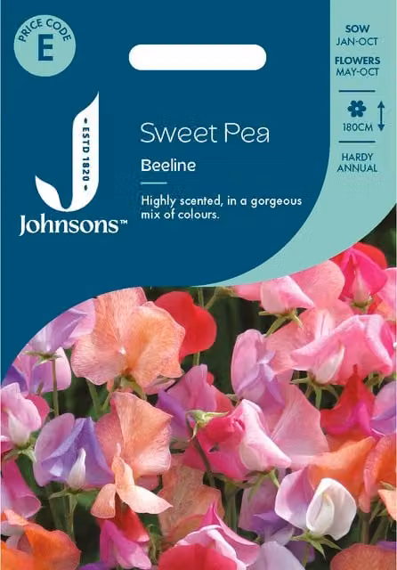 Johnsons Seeds Beeline Sweet Pea Multicolour Flower Seeds