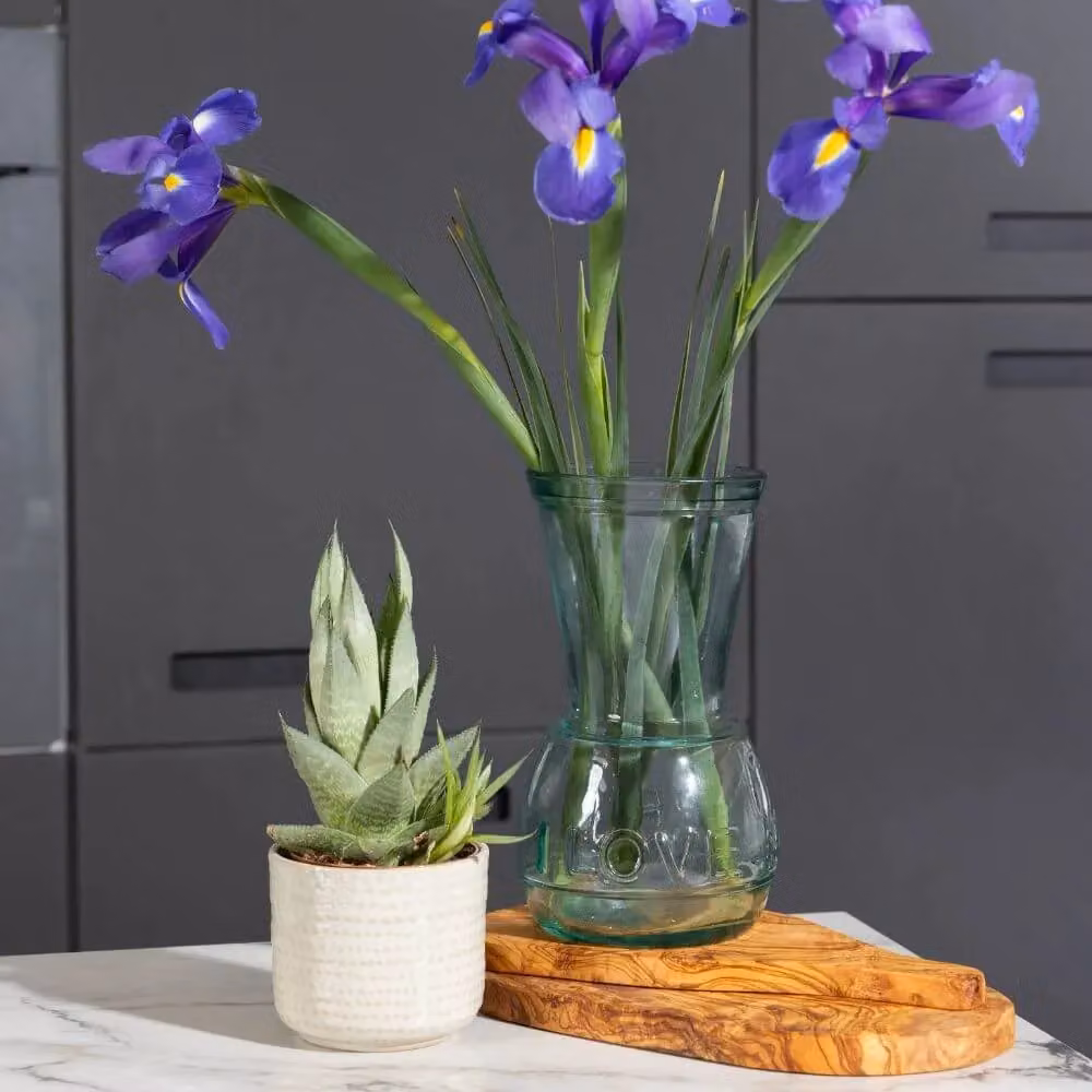 Verano Spanish Ceramics I Love Nature Recycled Glass Vase, Clear, H 22 cm x W 11 cm x D 11 cm – 2
