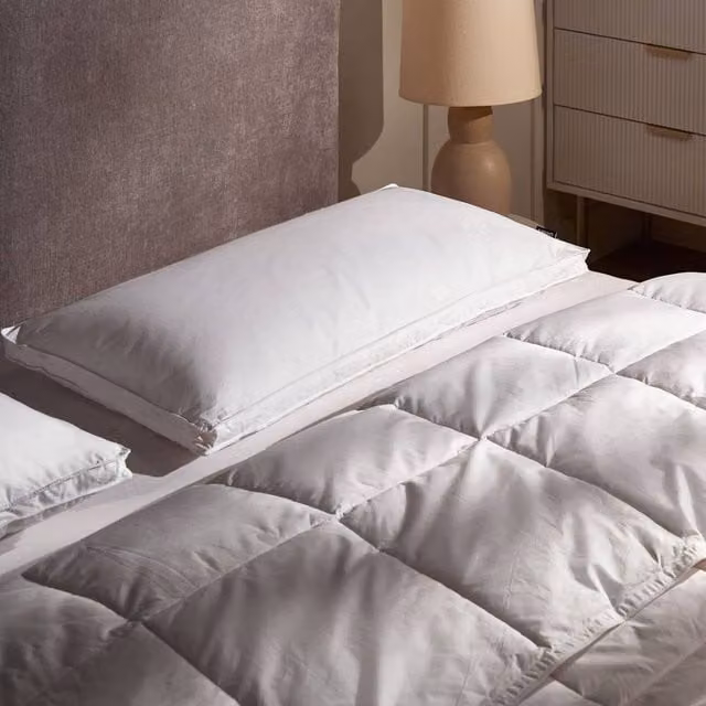 Wyld Haus White Cotton Duck Feather and Down Pillow, Medium, W/D/H: 80 x 40 x 40 cm