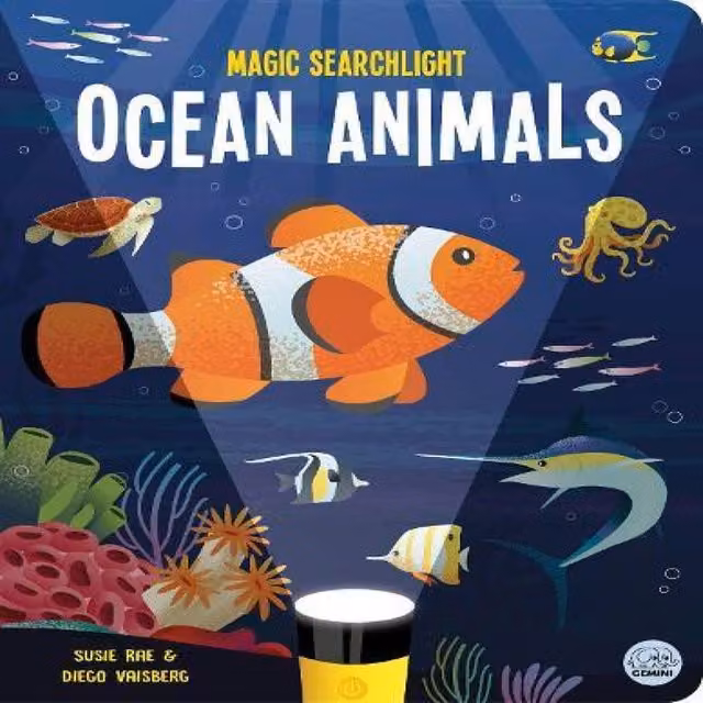 Susie Rae Magic Searchlight Ocean Animals Hardback Book in Multicolour