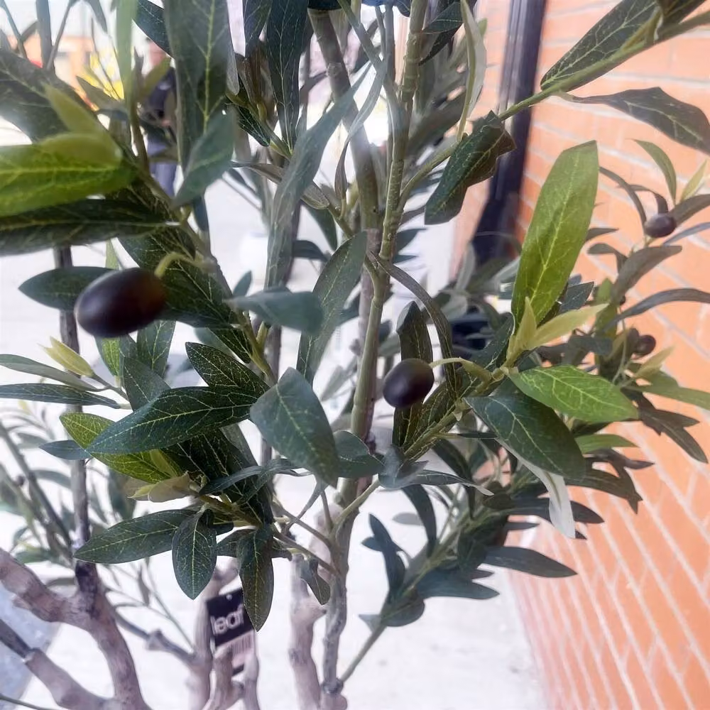 Leaf 200cm XXL Premium Artificial Mediterranean Olive Tree in Green with Decorative Planter – 5