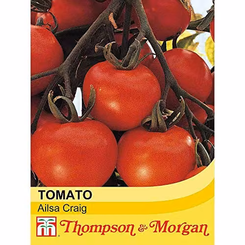 Thompson and Morgan Ailsa Craig Tomato Seeds, 94 Seeds per Packet – 2