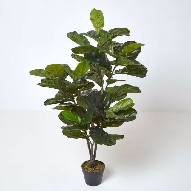 Homescapes Artificial Fiddle Leaf Fig Tree in Black Pot, Height: 120 cm, Green
