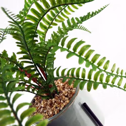Leaf Design UK Artificial Fern in Green with Ceramic Planter Stand, Height: 40 cm – 3