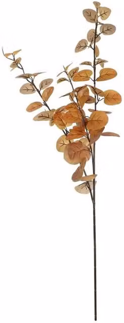 KDMD Essential Autumn Eucalyptus Stem in Brown, 2 Pack