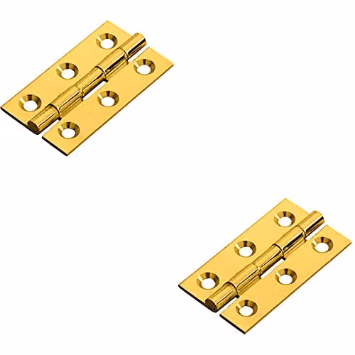 Loops 2 Pack Polished Brass Screw-On Cabinet Hinges for Small Cupboard Doors, W/D/H: 50 x 28 x 1.5 mm