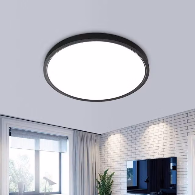 Pheashine Black Round Ultra-Slim LED Ceiling Light, 24W, 6500K Cool White, IP65, Diameter: 30 cm