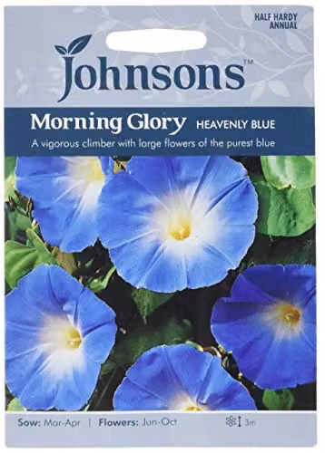 Johnsons Morning Glory Heavenly Blue Climber Flower Seeds