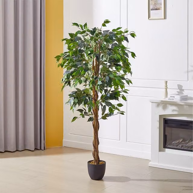 Lifeideas Decorative Artificial Green Ficus Tree with Pot, Height: 180 cm, Width: 70 cm