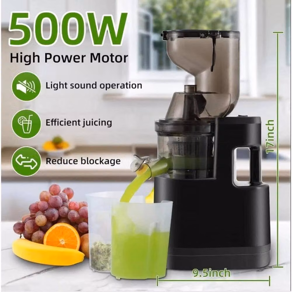 NESTLUNE Slow Juicer Electric Fruit Squeezer in Black – 6