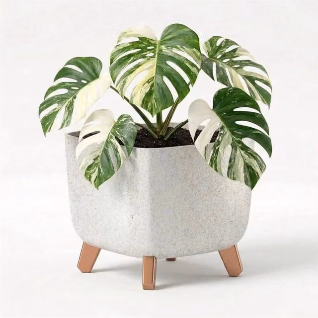 Kelvenix White Stone Planter with Legs and Water Reservoir – 1
