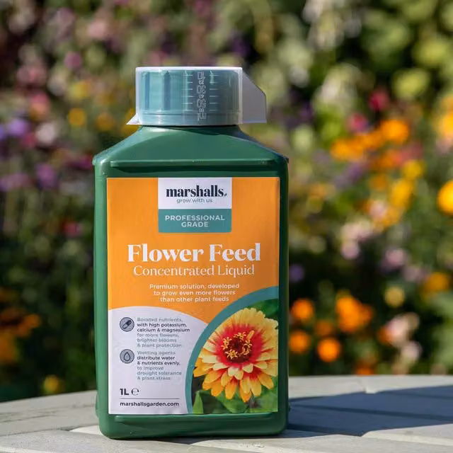 Marshalls Organic Liquid Flower Feed Plant Tonic, 6 l