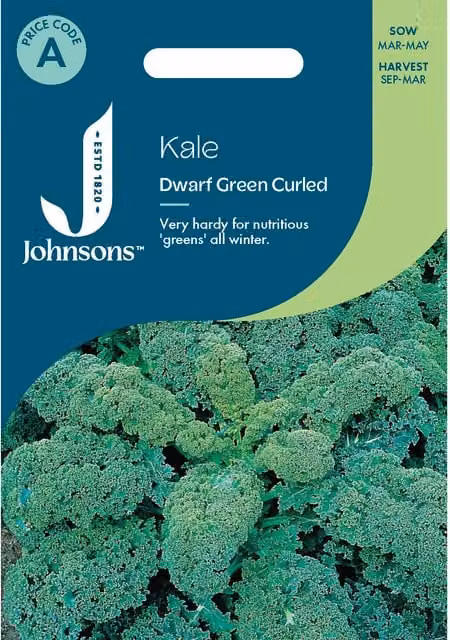 Johnsons Seeds Dwarf Green Curled Kale Vegetable Seeds