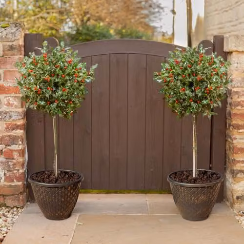 YouGarden Pair of Holly Tree Standards with Gold Effect Decorative Pinecone Planters, Height: 90 cm, Planter Diameter: 34 cm